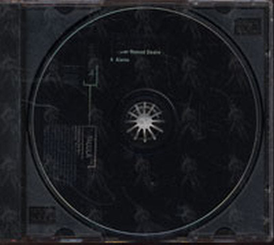 AMOS-- TORI - Talula - 3
