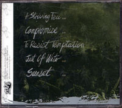 AS SEASONS PASS - Stronger Than Hate - 2