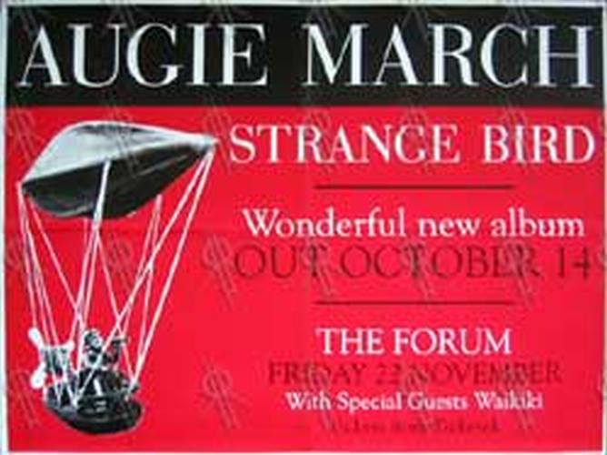 AUGIE MARCH - 'Strange Bird' Album/Forum