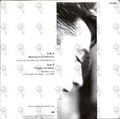 AZTEC CAMERA - Working In A Goldmine - 2