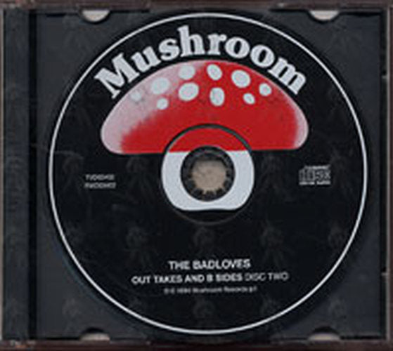 BADLOVES-- THE - Get On Board / Out Takes And B Sides - 6