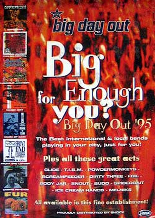 BIG DAY OUT - Big Day Out 1995 Band Album Art - 1