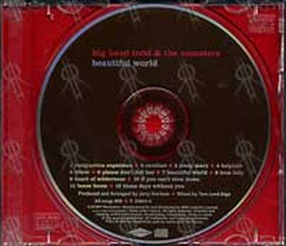 BIG HEAD TODD & THE MONSTERS - Beautiful World - 3