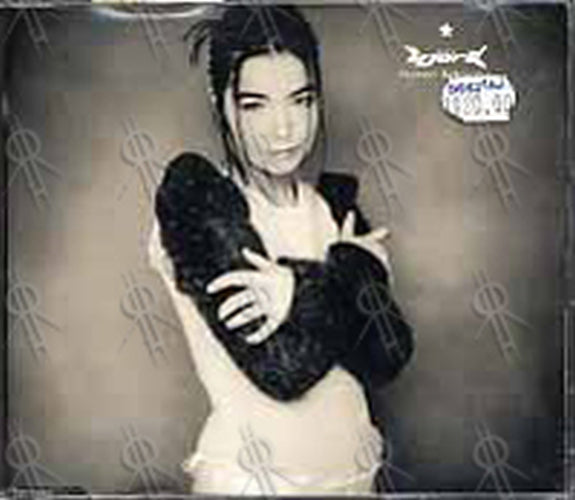 BJORK - Human Behaviour - 1