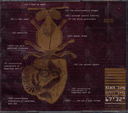 BLACK LUNG - The Disinformation Plague - 2