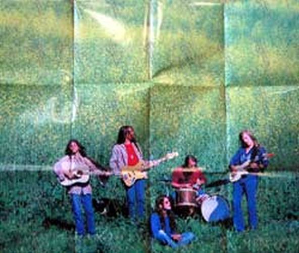 BLIND MELON - Tones Of Home - 4