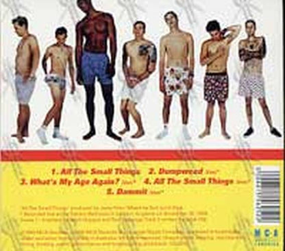 BLINK 182 - All The Small Things - 2