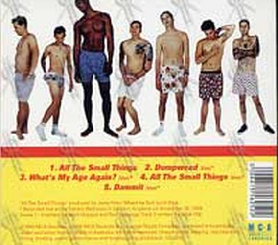 BLINK 182 - All The Small Things - 2