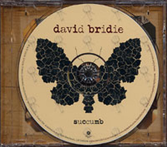 BRIDIE-- DAVID - Succumb - 5