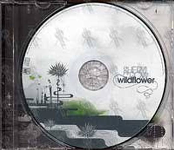 CROW-- SHERYL - Wildflower - 3