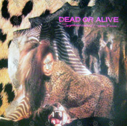 DEAD OR ALIVE - Sophisticated Boom Boom - 1