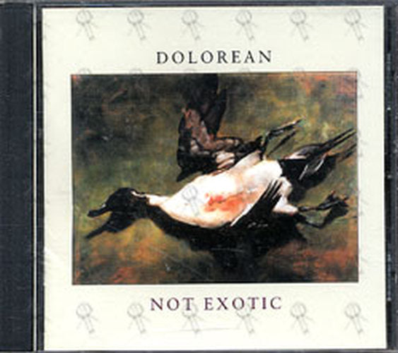 DOLOREAN - Not Exotic - 1