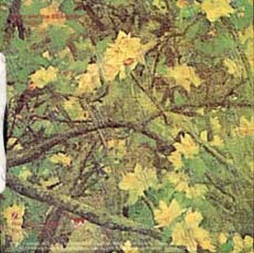 ECHO AND THE BUNNYMEN - The Back Of Love - 2