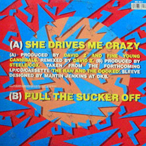 FINE YOUNG CANNIBALS - She Drives Me Crazy - 2