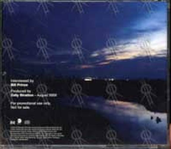 GRAY-- DAVID - 'A New Day At Midnight' Interview CD - 2