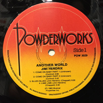Another World (The Vintage Series)