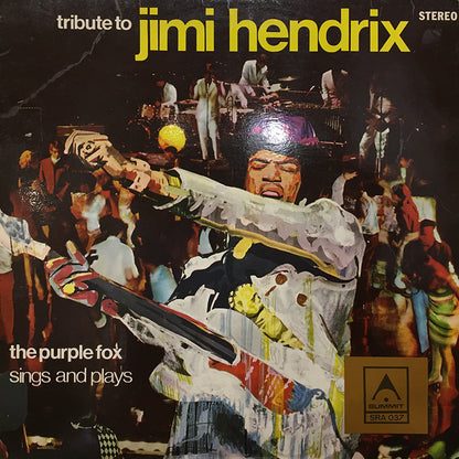 Sings And Plays Jimi Hendrix Hits