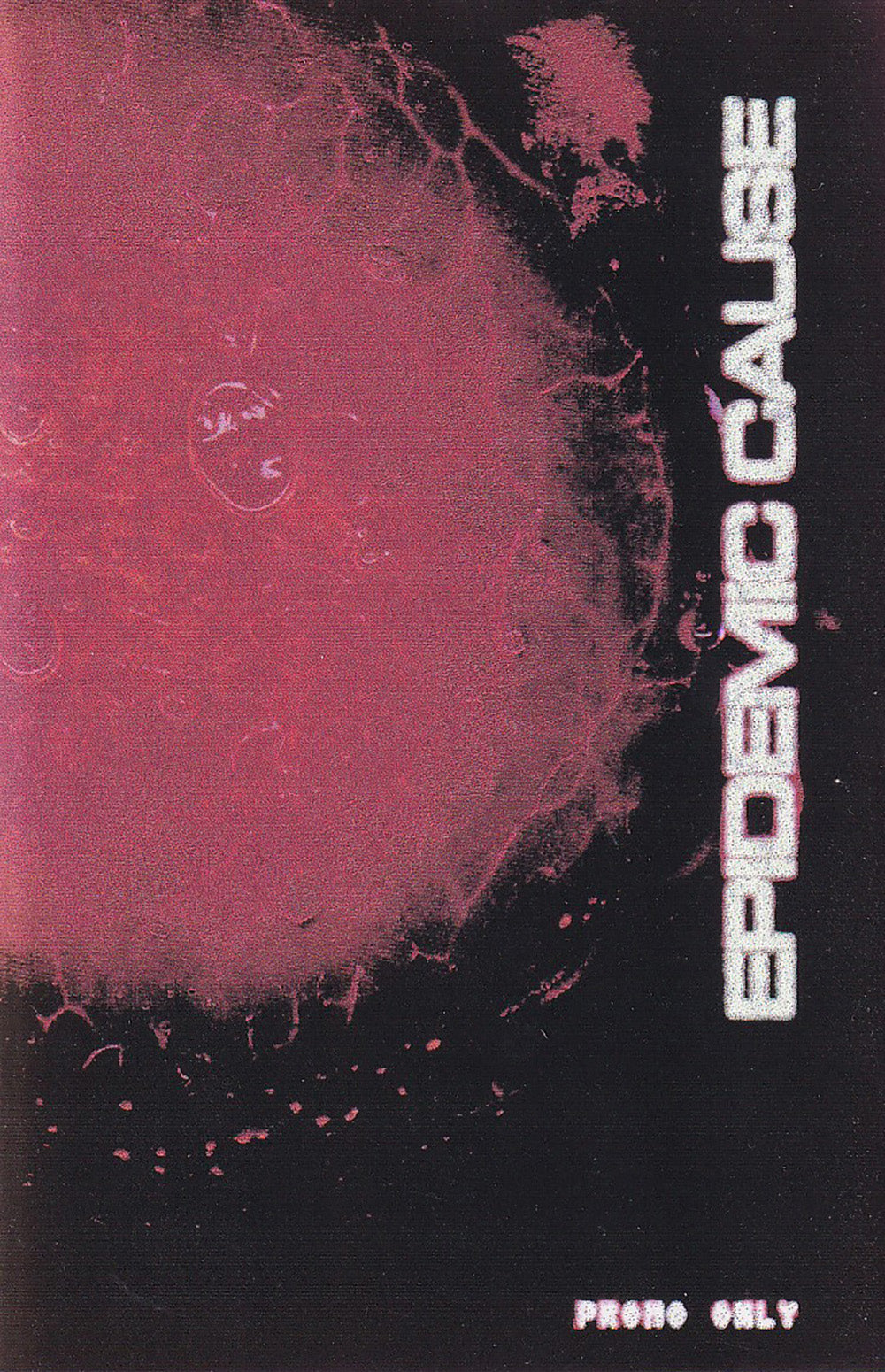 Epidemic Calise
