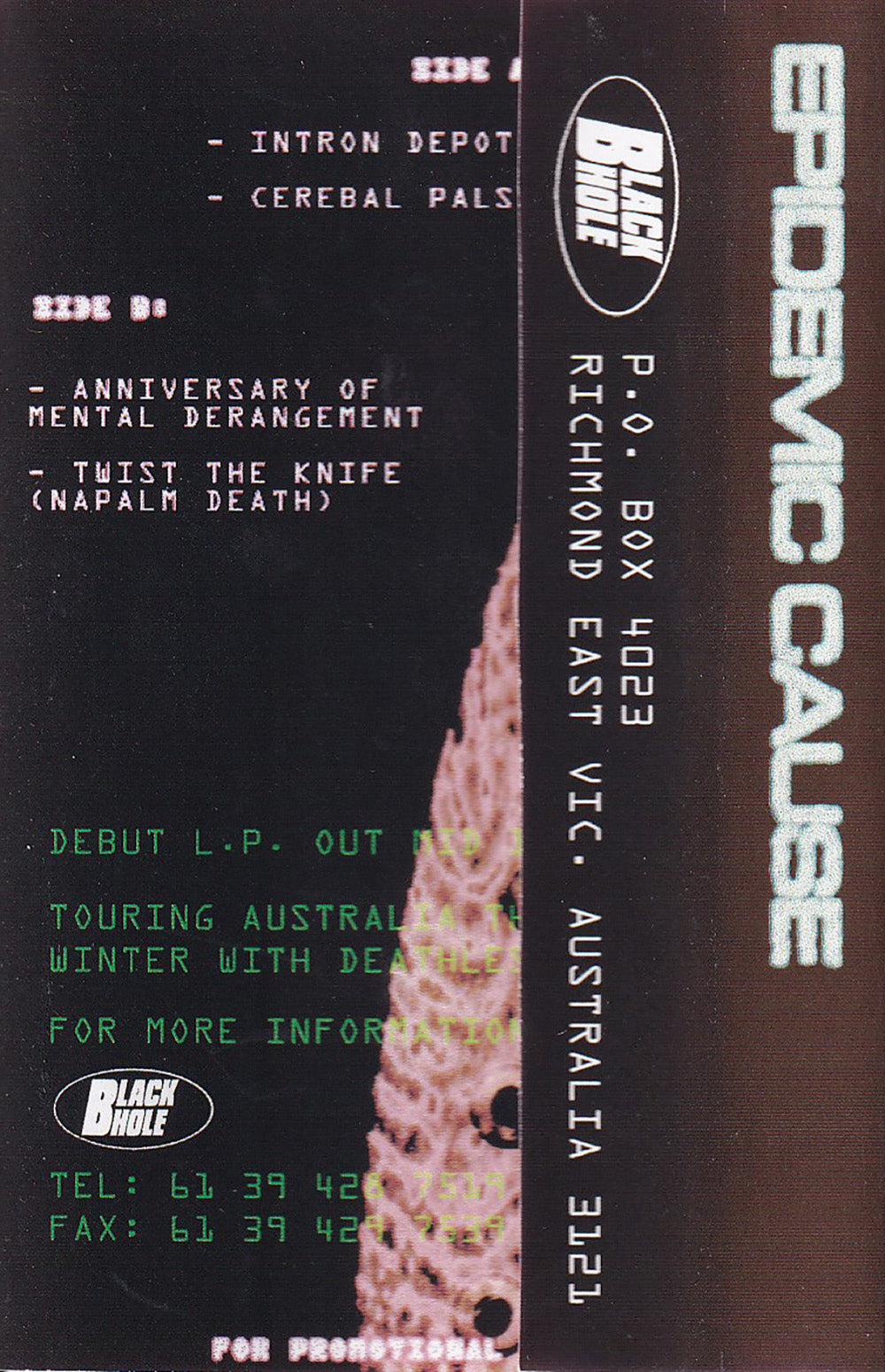 Epidemic Calise