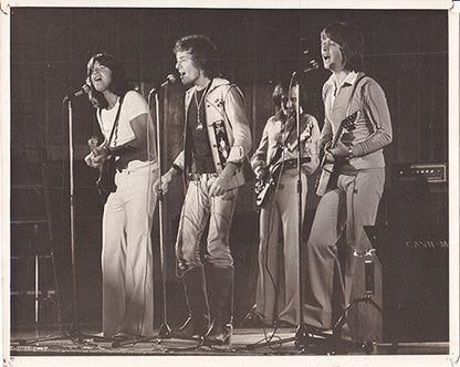 The Hollies Live Photo