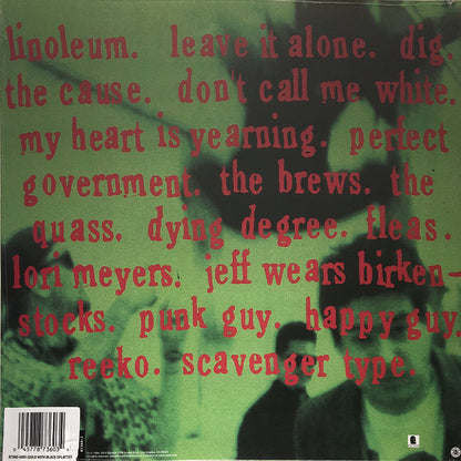 Punk in Drublic