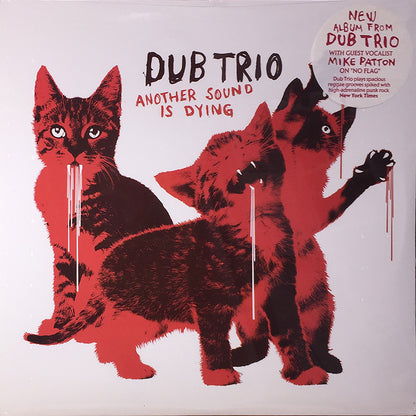 Another Sound Is Dying