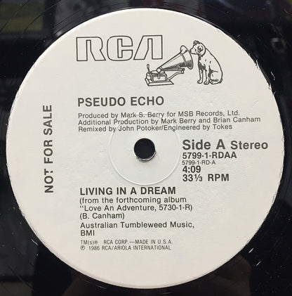 Living In A Dream