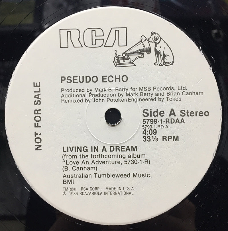 Living In A Dream