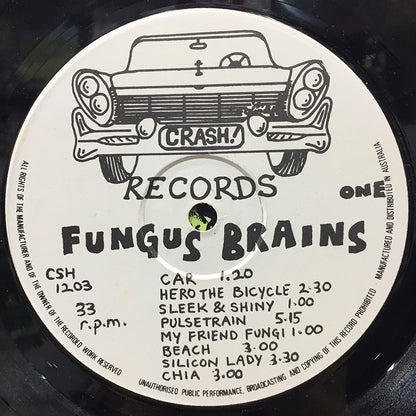 Fungus Brains