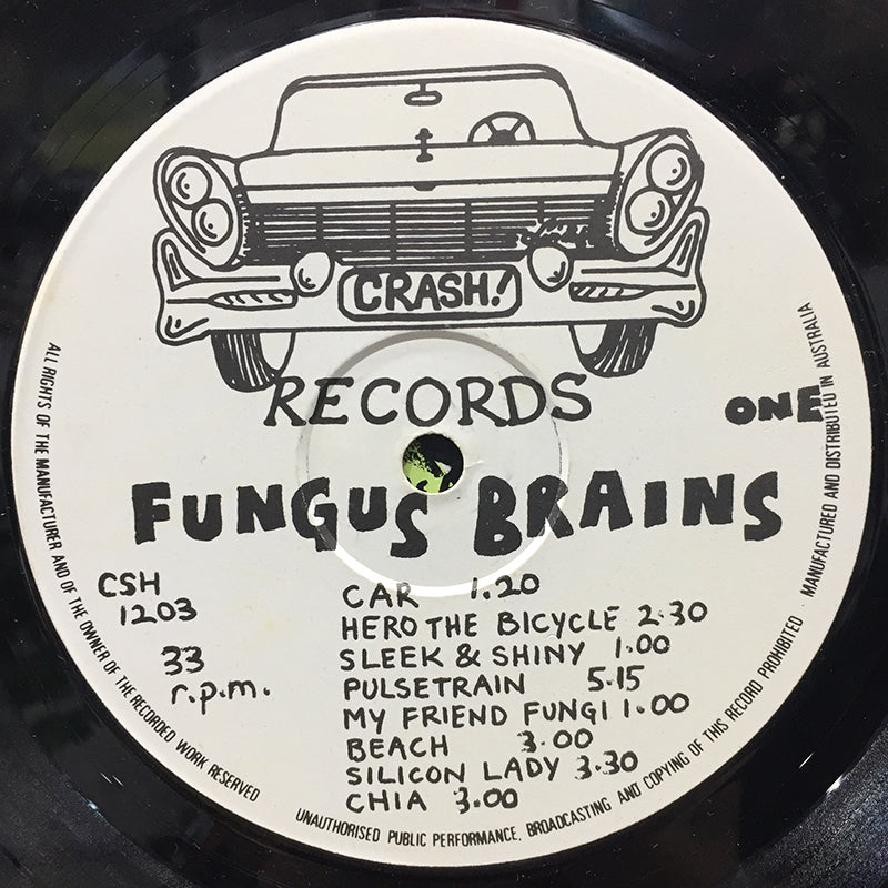 Fungus Brains