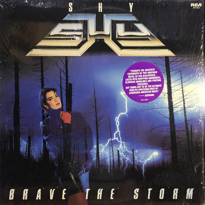 Brave The Storm