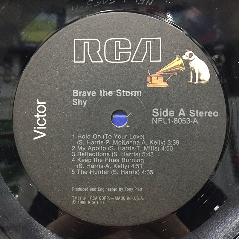 Brave The Storm