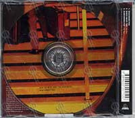 KIM SALMON AND THE BUSINESS - Disconnected - 2
