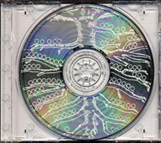 KINGS OF LEON - Youth & Young Manhood - 3