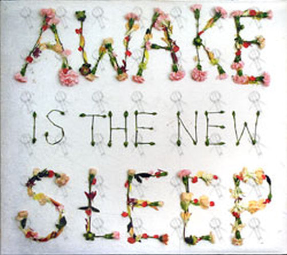 LEE-- BEN - Awake Is The New Sleep - 1