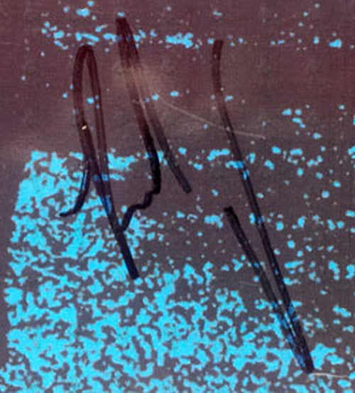 MINISTRY - Band Shot Flat Card - 5