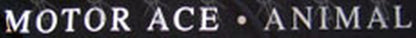 MOTOR ACE - Black 'Animal 'T-Shirt - 4