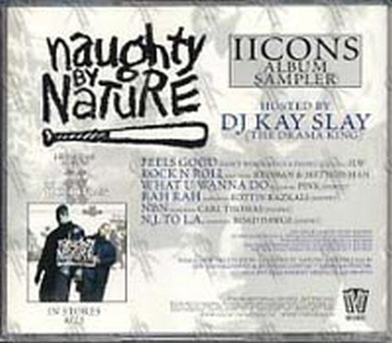 NAUGHTY BY NATURE - IIcons - 2