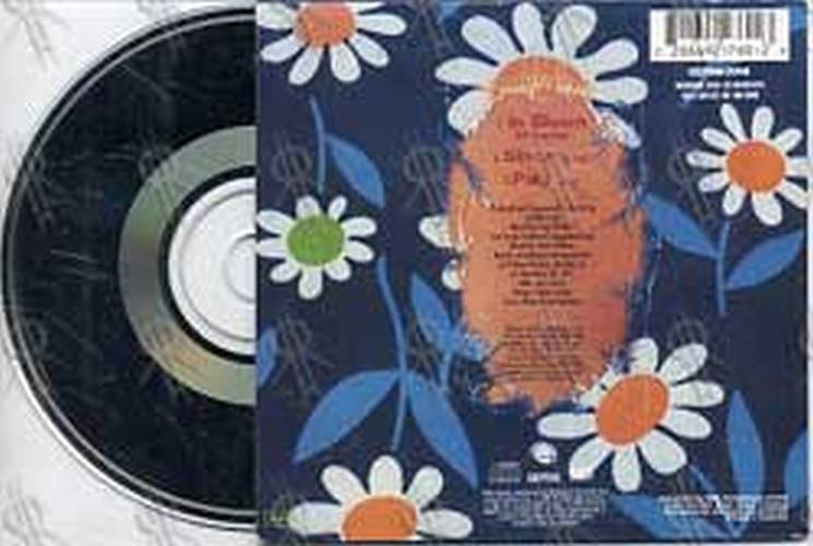 NIRVANA - In Bloom - 2