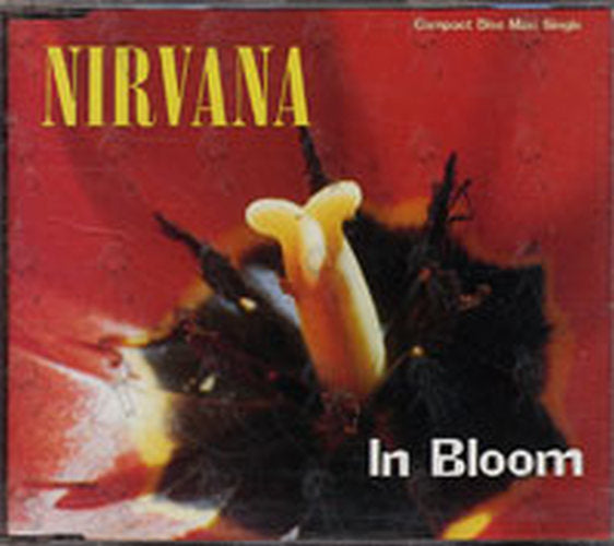 NIRVANA - In Bloom - 1