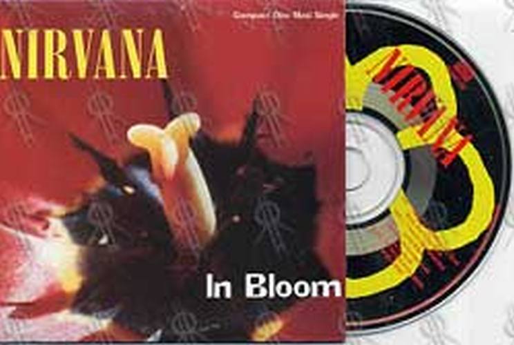 NIRVANA - In Bloom - 1