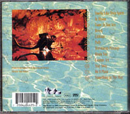 NIRVANA - Nevermind - 2