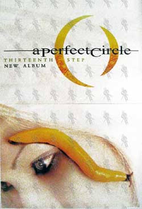 PERFECT CIRCLE-- A - 'Thirteenth Step' Album Poster - 1