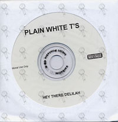 PLAIN WHITE T'S - Hey There Delilah - 1