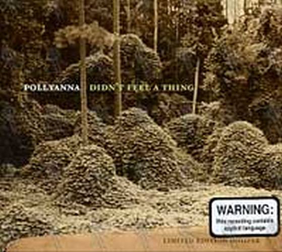 POLLYANNA - Didn&#39;t Feel A Thing - 1