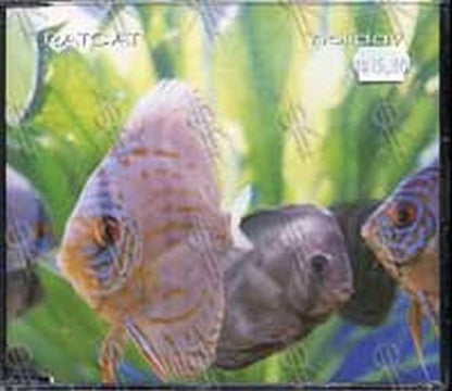 RATCAT - Holiday - 1