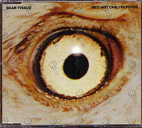 RED HOT CHILI PEPPERS - Scar Tissue - 1