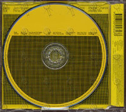 SANCHEZ-- ROGER - You Can't Change Me (feat. Armand Van Helden And N'Dea Davenport) - 2