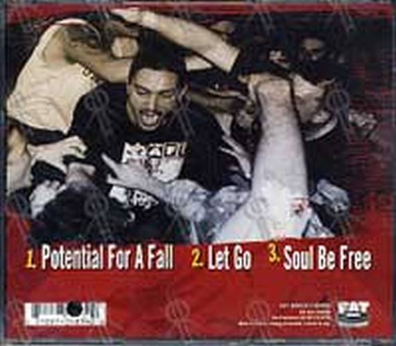 SICK OF IT ALL - Potential For A Fall - 2