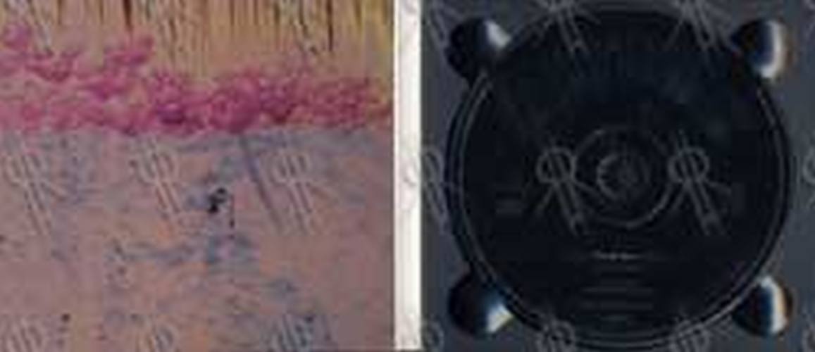 SOUNDGARDEN - Fell On Black Days - 3